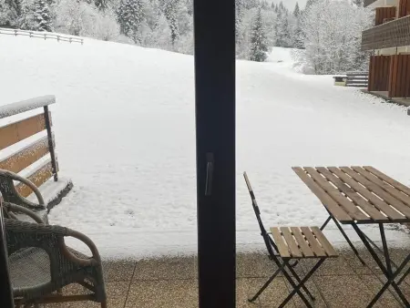 Appartement 4 pers. animaux admis à Châtel : photo 18