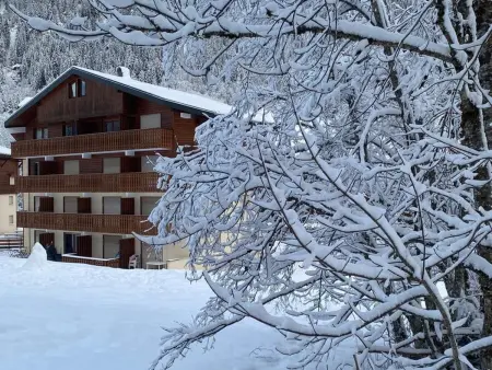 Appartement 4 pers. animaux admis à Châtel : photo 20