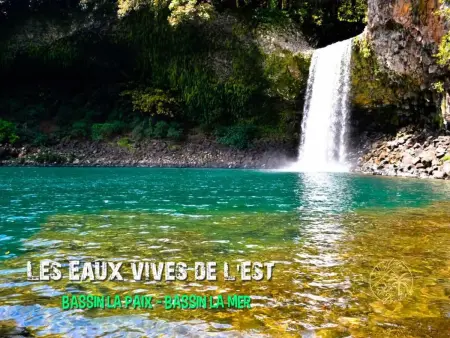 Gîte Ô Ti' Lodge Vanilla – Vue montagne et piscine eau salée : photo 12