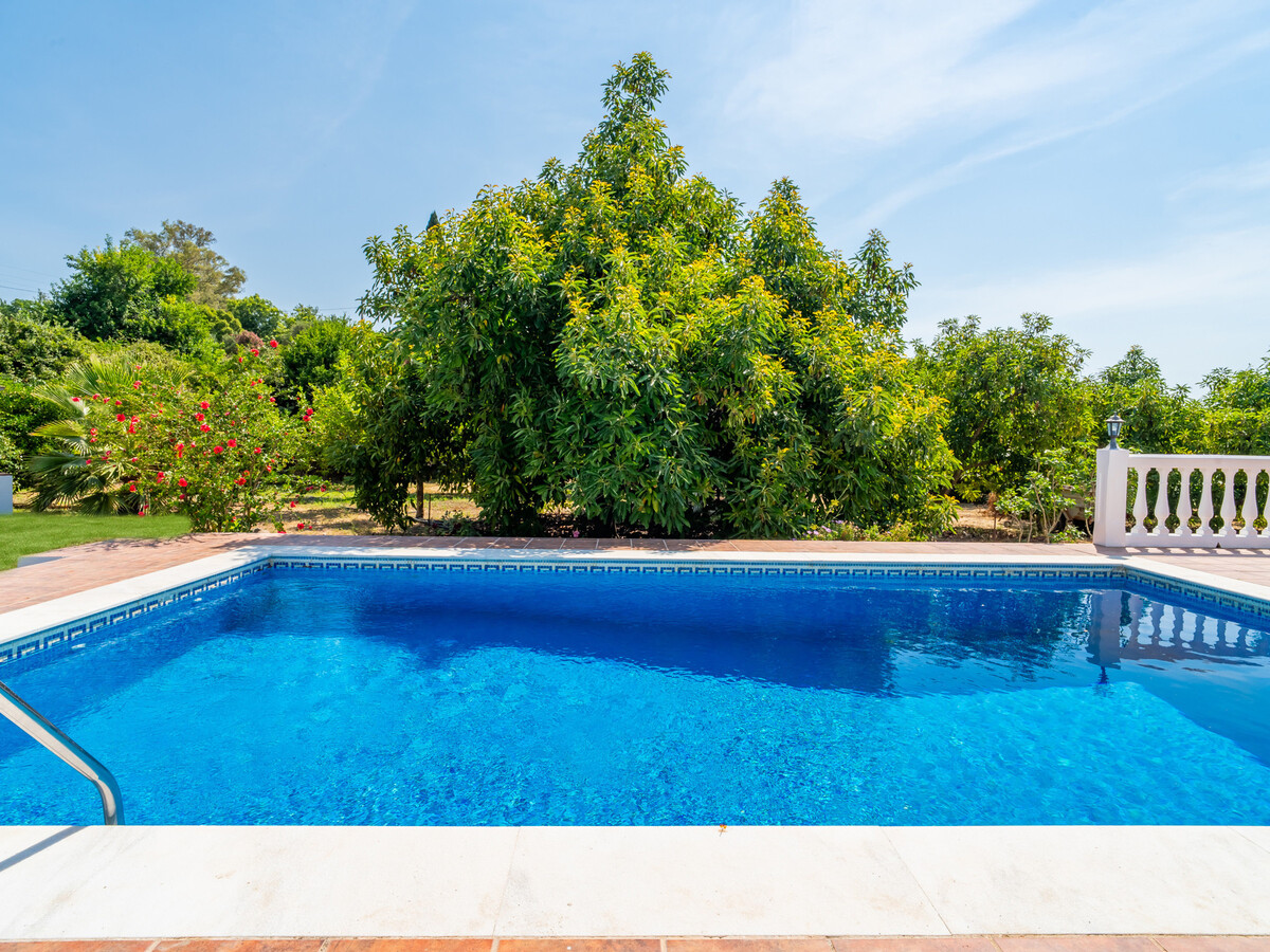 Gîte rural 4 pers. piscine privée à Tolox - Photo 25