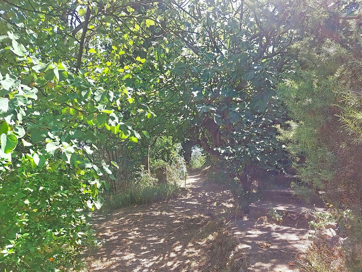 Les Sources – Maison 2 pièces avec piscine à Draguignan - Photo 55