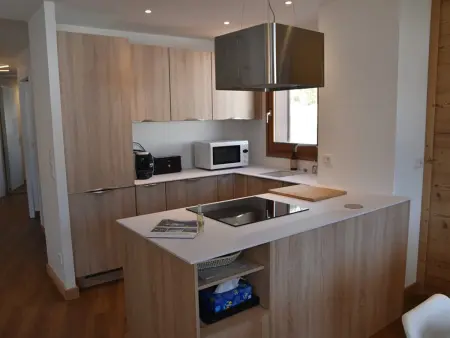Duplex Parthénon 8 pers. – Garage & navette pistes : photo 5