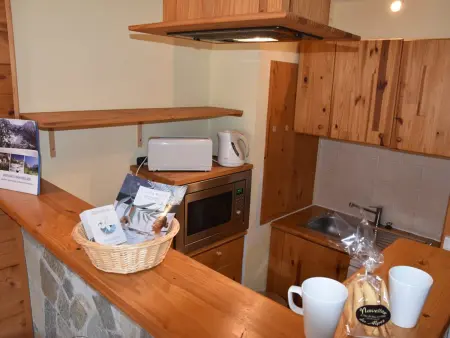 Studio 32 m² Montgenèvre, balcon sud-ouest : photo 5
