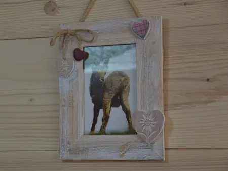 Studio 26m² animaux acceptés à Montgenèvre : photo 14