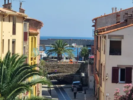 T2 climatisé aperçu mer, 170 m plage - Collioure : photo 1