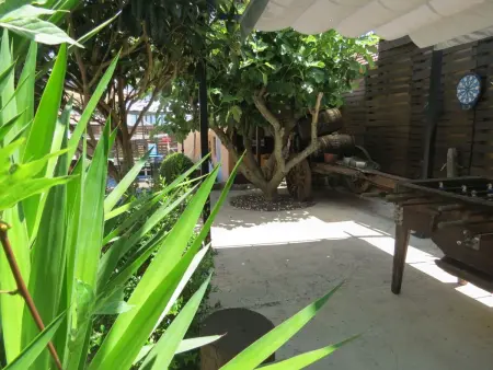 Studio avec jardin partagé au cœur de Porto : photo 50