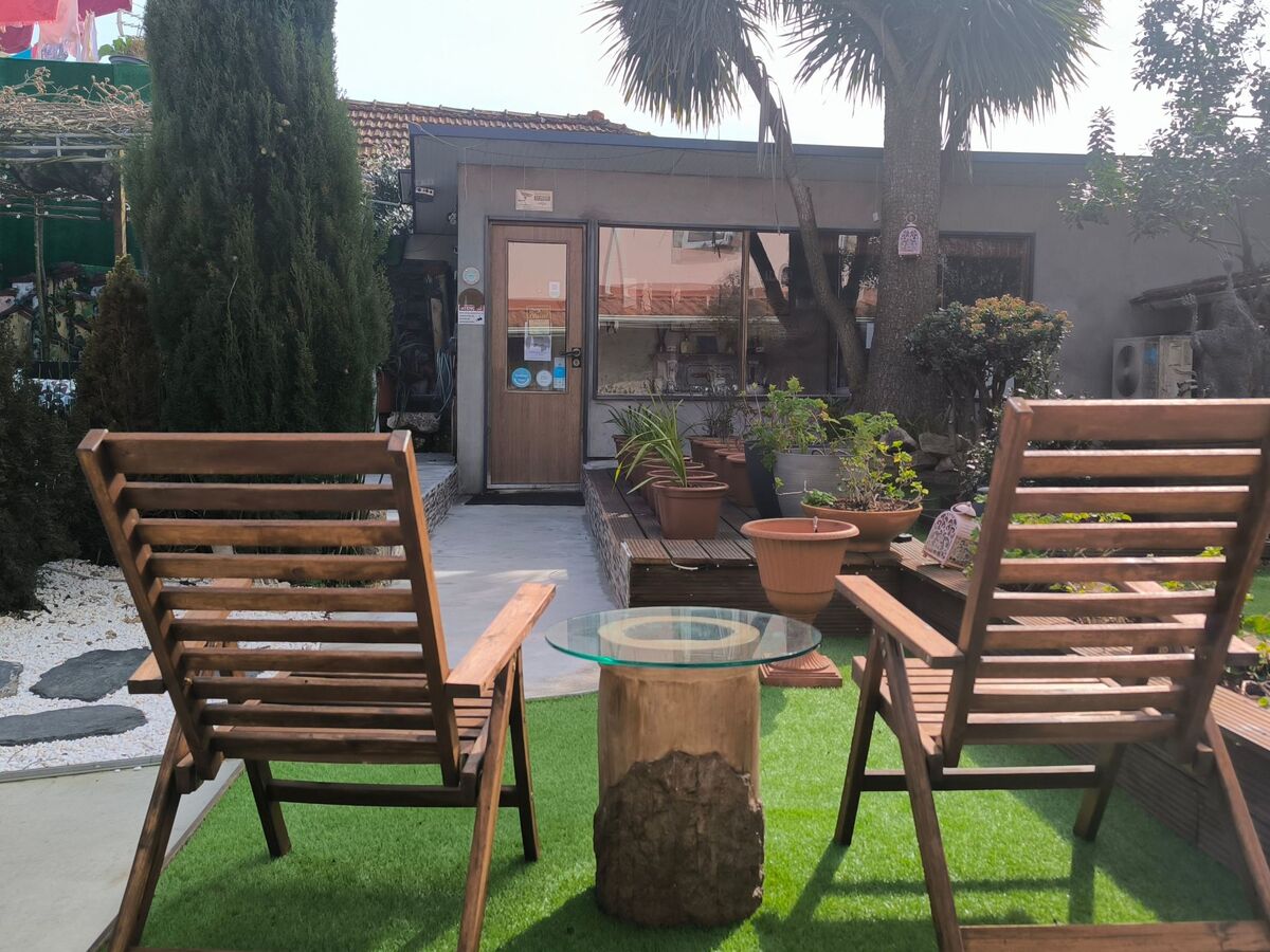 Maison Porto cœur de ville, jardin partagé - Photo 21