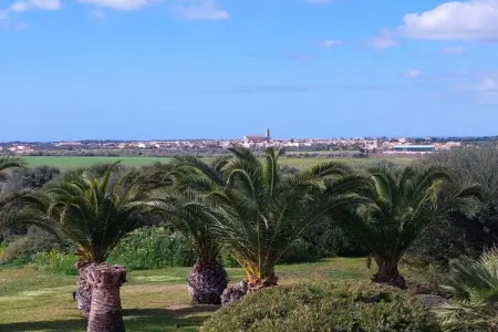 Finca 8 personnes avec piscine d'eau salée à Ses Salines : photo 14