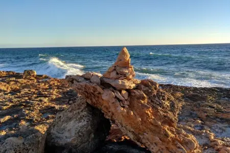 Finca 8 personnes avec piscine d'eau salée à Ses Salines : photo 34