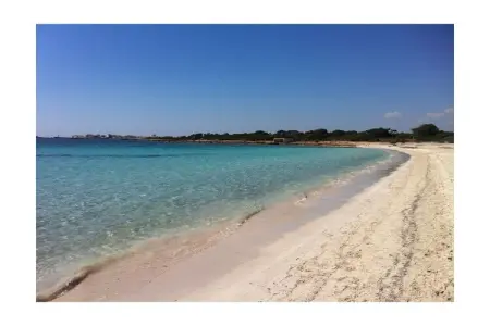 Finca 8 personnes avec piscine d'eau salée à Ses Salines : photo 35