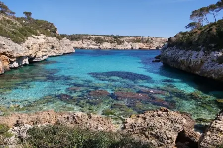 Villa 6 personnes avec piscine et vue mer à Cala Santanyi : photo 39