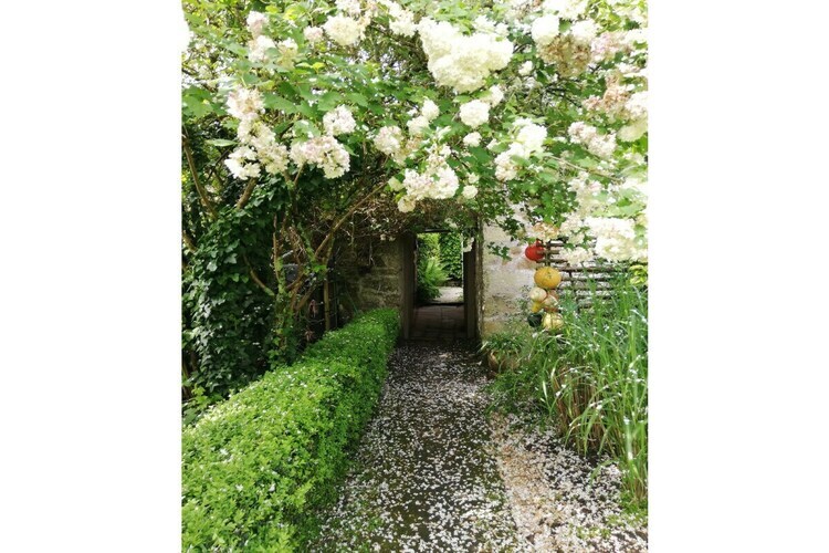 Maison 4 pers. avec jardin clos à Audierne - Photo 6