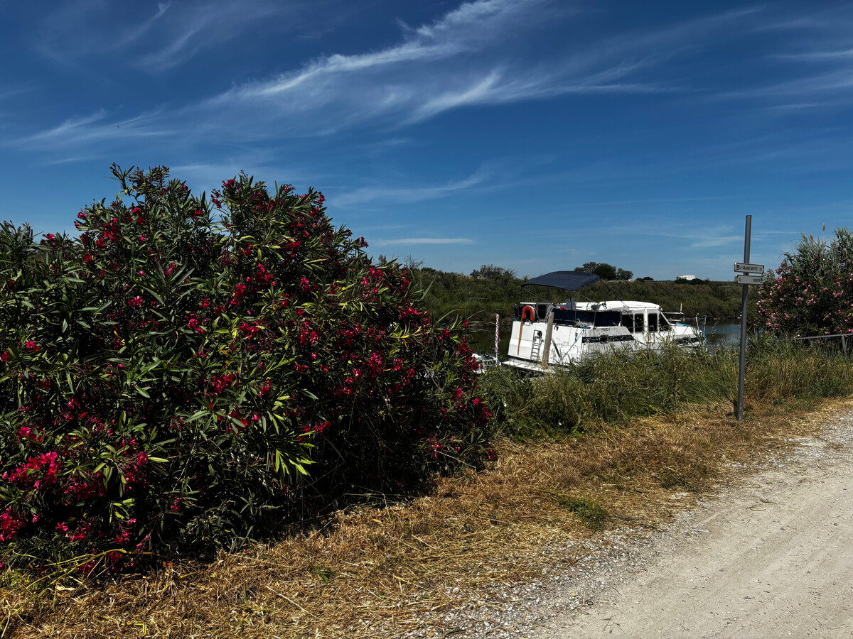 Bateau-maison spacieux au port - 8 pers., Bateau 8 personnes à Mauguio - Photo 17
