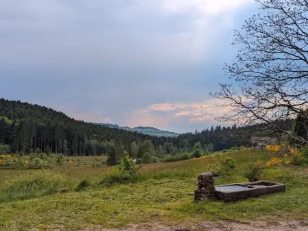 Ferme authentique en montagne - max pers., Gite 8 personnes à Girmont Val d'Ajol - Photo 7
