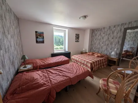 Ferme authentique en montagne - max pers., Gite 8 personnes à Girmont Val d'Ajol - Photo 14