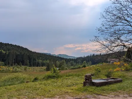 Ferme authentique en montagne - max pers., Gite 8 personnes à Girmont Val d'Ajol - Photo 20