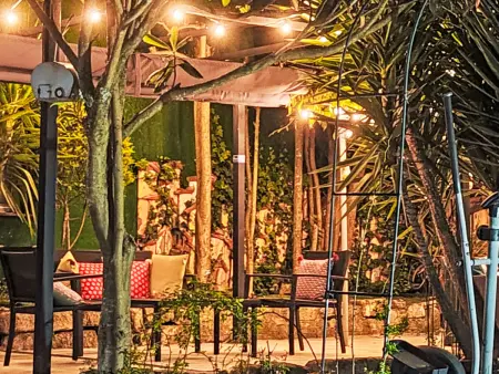 Studio Porto centre, jardin partagé et terrasse : photo 1