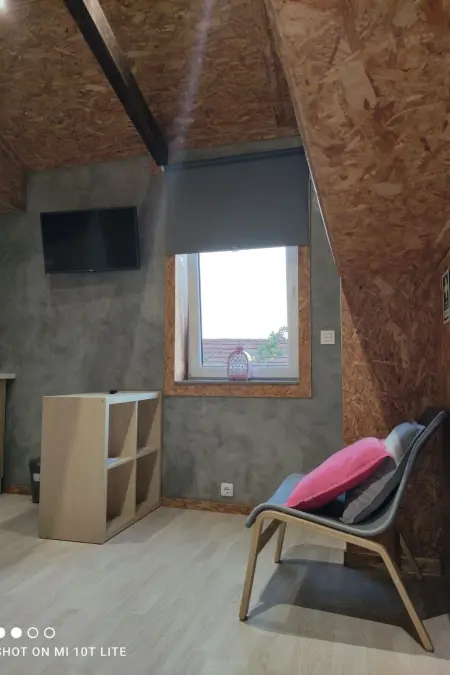 Studio Porto centre, jardin partagé et terrasse : photo 35