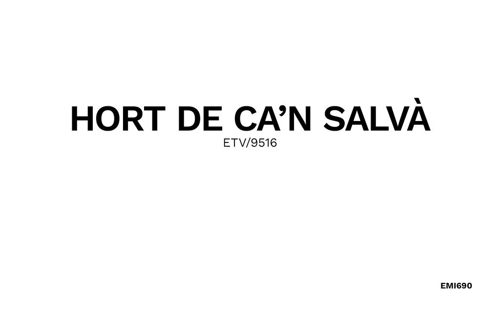 HORT DE CA'N SALVÀ, Maison 12 personnes à Santa Maria - Photo 19