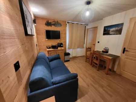 Studio 14m² face aux pistes, animaux acceptés : photo 4