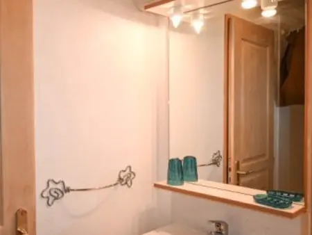 Studio 14m² face aux pistes, animaux acceptés : photo 6
