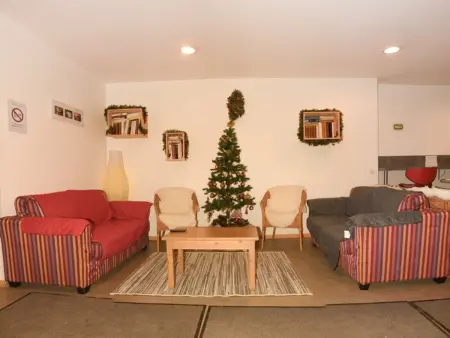 Studio 14m² face aux pistes, animaux acceptés : photo 8