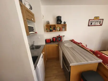 Appartement La Doire – Terrasse 18m² vue pistes : photo 12