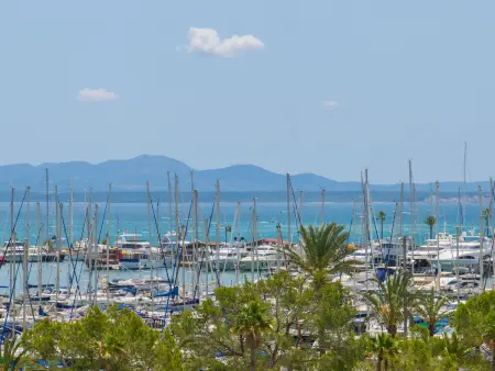 Pine Beach : Appartement 4 pers. à Port d'Alcúdia : photo 23