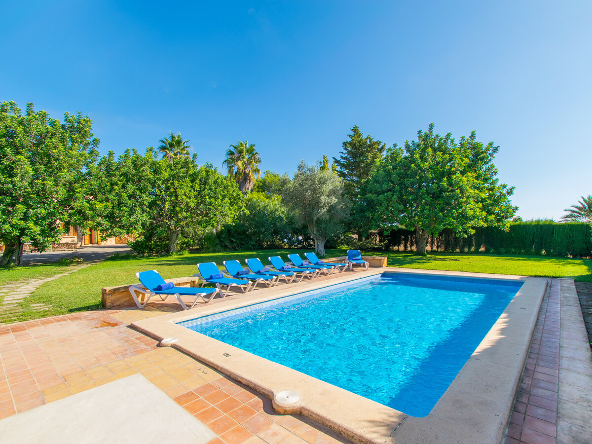 Can Moleta, gîte 8 pers. piscine 9x4m à Manacor - Photo 18
