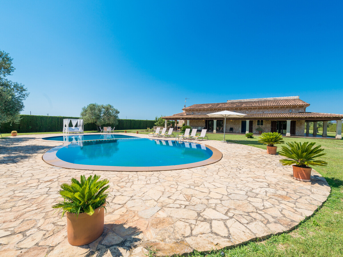 Villa Sant Vicens à Sa Pobla : piscine 20x8m, 8 pers. - Photo 5