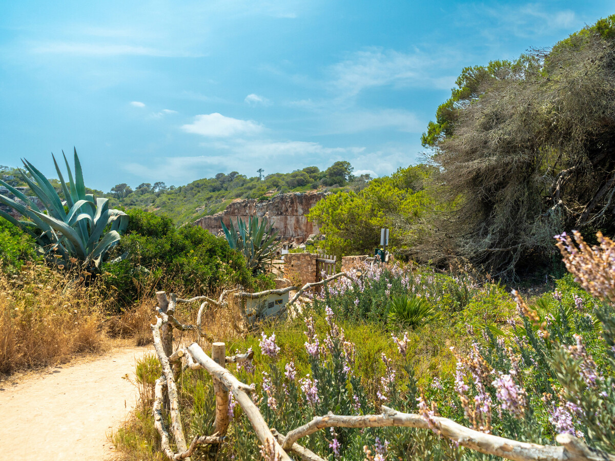 Casa Ses Sevines – Maison vue mer à Santanyí - Photo 29