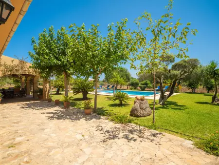 Son Duri - Villa 10 pers., piscine privée à Can Picafort : photo 34