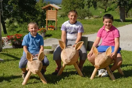 Ferme biologique avec animaux à St. Andrä bei Brixen : photo 12