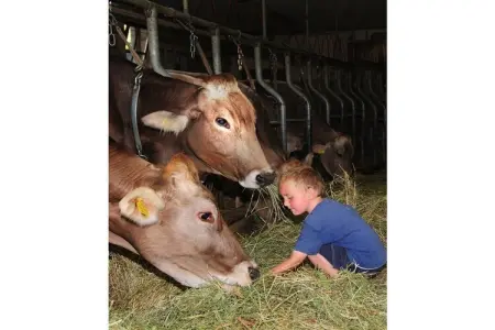 Ferme biologique avec animaux à St. Andrä bei Brixen : photo 13