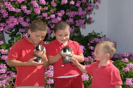 Ferme biologique avec animaux à St. Andrä bei Brixen : photo 14
