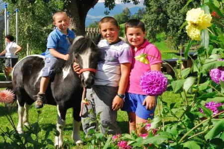 Ferme biologique avec animaux à St. Andrä bei Brixen : photo 16
