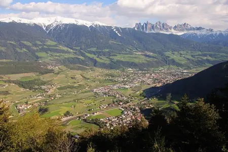 Ferme biologique avec animaux à St. Andrä bei Brixen : photo 20