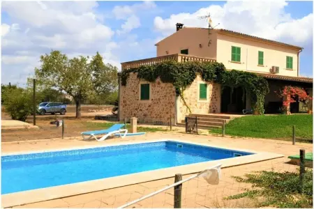 Finca avec piscine et verger à Campos : photo 4