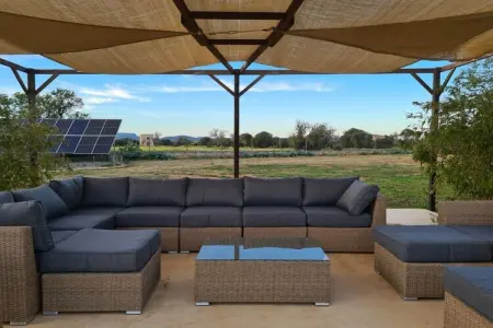 Finca avec piscine et verger à Campos : photo 5