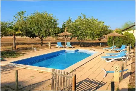 Finca avec piscine et verger à Campos : photo 6