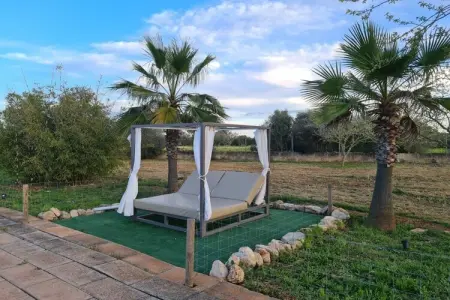 Finca avec piscine et verger à Campos : photo 7