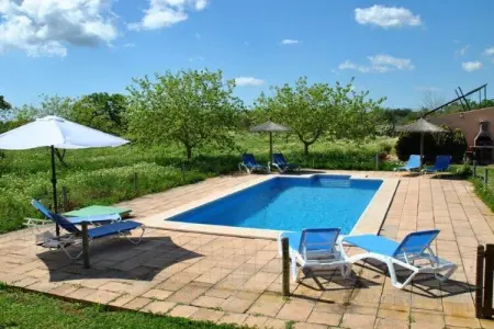 Finca avec piscine et verger à Campos : photo 8