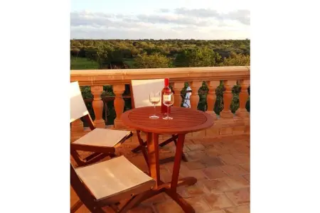 Finca avec piscine et verger à Campos : photo 9