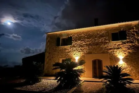 Finca avec piscine et verger à Campos : photo 10