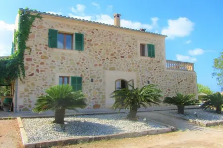 Finca avec piscine et verger à Campos : photo 12