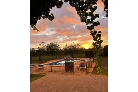 Finca avec piscine et verger à Campos : photo 13