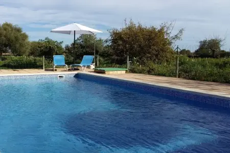 Finca avec piscine et verger à Campos : photo 14