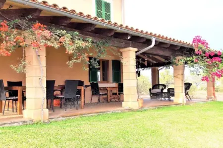Finca avec piscine et verger à Campos : photo 16