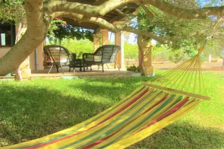 Finca avec piscine et verger à Campos : photo 17