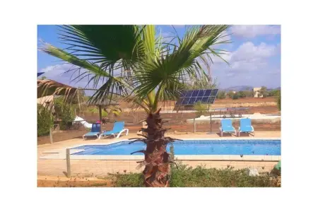 Finca avec piscine et verger à Campos : photo 19